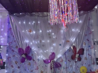 Butterfly party room